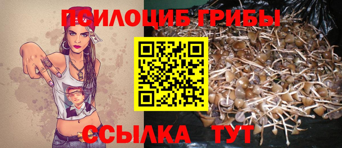 Псилоцибиновые грибы мухоморы Коммунар